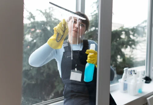 Nettoyage de vitres intérieures et extérieures à Saint-Pardoux-du-Breuil